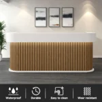 Reception+Desks+Chyrisse+Modern+Front+Desk+with+Lockable+Drawers,+LED+Lighting+and+Spacious+Storage (2)